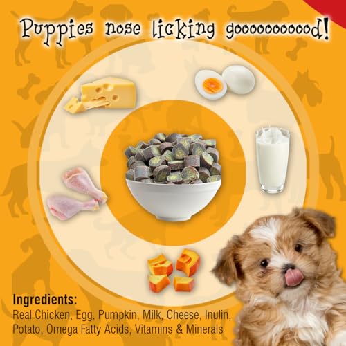 Image of DuoBites Chicken & Cheese Soft Treats for Dogs & Puppies | Grain & Gluten-Free | Inulin for Healthy Digestion | DHA Enriched for Brain Development | 100 g | Pack of 1