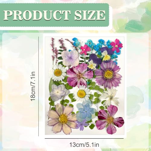 125 piezas flores secas prensadas para manualidades miniatura 2