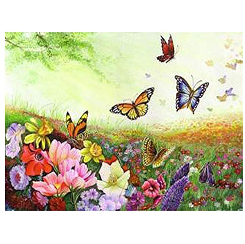 �ɓK������ �}�c�_ 2 �ɓK������ �f�~�I�ԗp�A�[�����X�g�{�b�N�X �J�[�A�N�Z�T���[ ���� �ȒP���t�� ���� ���[�{�b�N�X(C3 Black white NOUSB)