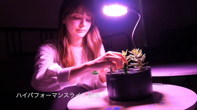 Amazon.co.jp: iDOO イドー 水耕栽培セット 水耕栽培キット 植物育成用