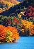 Pickako Scenic Autumn Landscape Colorful Trees Lake River Pond in Forest Garden Yard Flag 12 x 18 Inch, Double Sided Outdoor Decorative Welcome flags Banners for Home House Lawn Patio #4