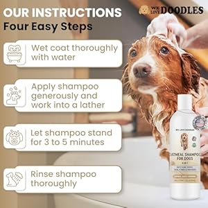 5-in-1-Premium-Oatmeal-Shampoo-for-Dogs-Gentle-for-Itchy-Sensitive-Skin-Provides-Itch-Relief-Hypoallergenic-Soothing-for-Dry-Skin-Moisturizing-Anti-Itch-Made-in-USA-16-oz-We-Love-Doodles - Cucciolini Doodles   5-in-1-Premium-Oatmeal-Shampoo-for-Dogs-Gentle-for-Itchy-Sensitive-Skin-Provides-Itch-Relief-Hypoallergenic-Soothing-for-Dry-Skin-Moisturizing-Anti-Itch-Made-in-USA-16-oz-We-Love-Doodles