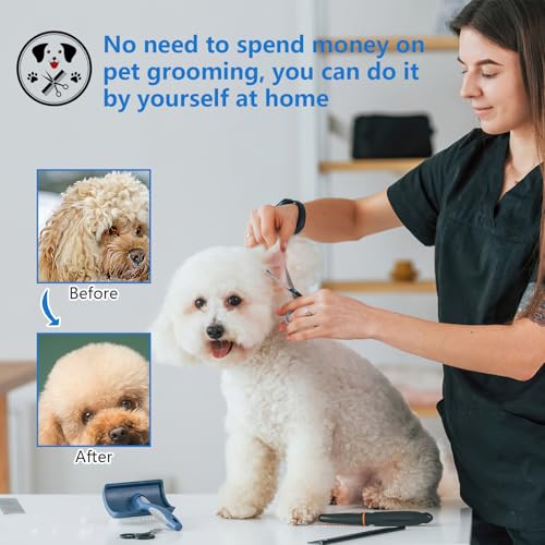 Hundeschere Gebogen, Hunde Schere für Hunde und Katzen, Edelstahl Fellschere Hunde Sicherheit Runde Spitze, Profi Hundehaarschere mit Einstellbare Schraube (Gesamtlänge 17cm)