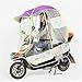 Motorcycle Rain Cover Waterproof Sun Shade Mobility Scooter Canopy - Fully Enclosed Motor Scooter Umbrella Rai