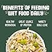 Weruva Classic Dog Food, Green Eggs & Chicken with Chicken Breast & Pumpkin in Gravy, 5.5oz Can (Pack of 24)