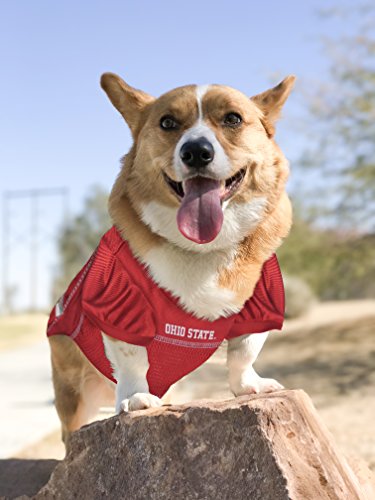 Image of Pets First Collegiate Ohio State Buckeyes Dog Mesh Jersey, X-Small