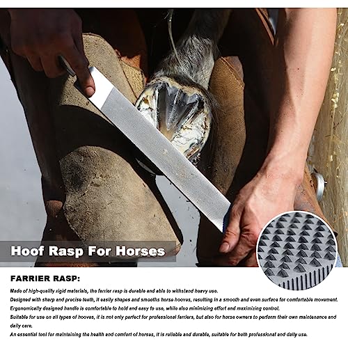 Horse-Farrier-Tools-Farrier-Tool-KitsHorse-Hoof-TrimmersFarriers-Rasp-Hoof-TrimmersHorse-Hoof-Trimming-ToolsHorse-Trimming-ToolsFarrier-Tools-Kit-Tool-for-Horses-Goat-Hoof-Trimming-Tools
