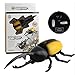 Uteruik - Giocattolo a infrarossi con telecomando a forma di scarabeo, simulazione realistica RC finta alimentata a batteria per scherzo, regalo di compleanno di Natale (#C)