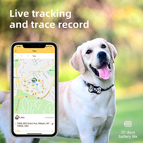 PETBIZ G20 GPS Pet Tracker, 30 Days Battery Life, IPX7 Waterproof GPS Tracker for Cat and Dogs (Ice camo)