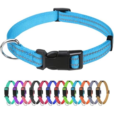 TagME Dog Collars for Small Dogs, Reflective Nylon Dog Collar with Quick Release Buckle, Small Dog Collar for Boys, Sky Blue, 3/8" Width Cover