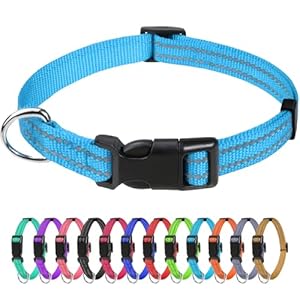 TagME Reflective Dog Collar for Puppy, Adjustable Nylon Pet Collar with Quick-Release Buckle, Lightweight and Comfortable for Daily Use, Sky Blue, 3/8″ Width