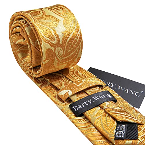 Image of Barry.Wang Paisley Tie Fashion Set Hanky Cufflinks Neckties for Men Woven Silk