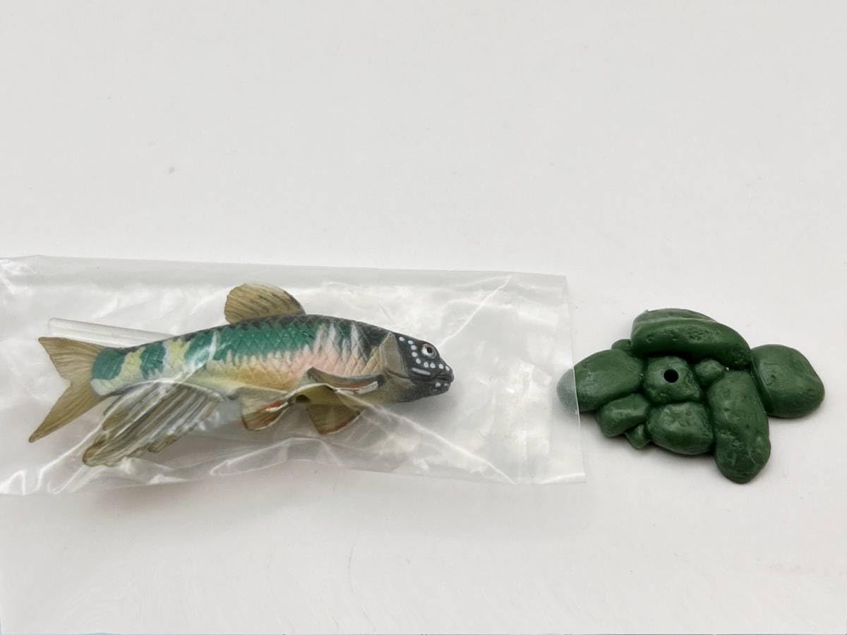 Amazon.co.jp: Yujin ユージン 原色淡水魚図鑑I メダカ/オイカワ 2点