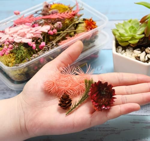Image of VRB DecTM 2 Box Natural Real Dried Flowers for Art Craft /rasin Art kit - Mixed & Multicolor for Soap, Artificial Candles,Scrapbook, DIY, Resin Tray Jewellery, Pendant (2 Box - Multicolor)