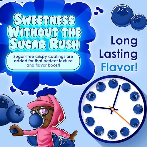 Image of Bubblegum Kids Barry's Scary Berry Sugar Free Gum | Blueberry Flavor Sugarless Gum with Xylitol | Vegan, Low Calorie Candy Alternative for Kids & Adults | Resealable Bag, 55 Pieces Per Pack, 1 Pack