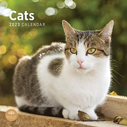 2023 Cats Wall Calendar by Bright Day, 12x12 Inch, Cute Adorable Pet Kitten Photography