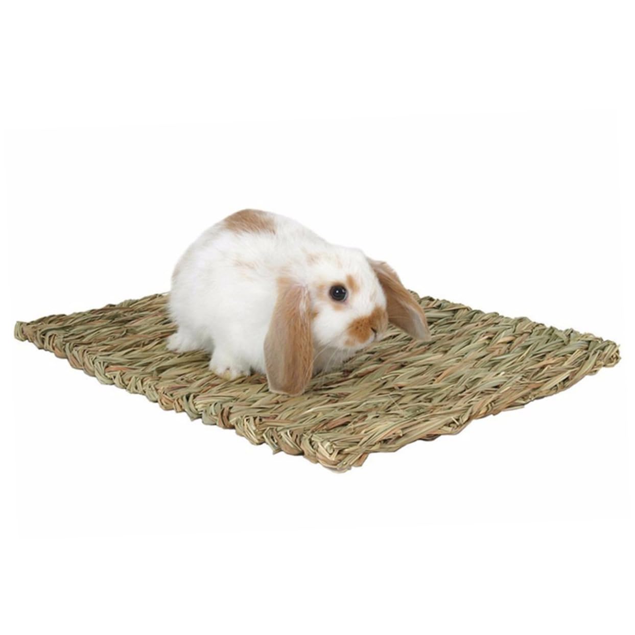 Housoutil 6stücke Pack Essbare Grasmatte Für Haustiere Handgewebt Aus Seegras Für Meerschweinchen Kaninchen Und Kleintiere Sicheres Kauspielzeug Und Schlafunterlage