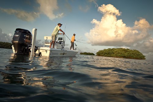 Amazon | MINNKOTA(ミンコタ) RT 45/SC/T | Minn Kota | エレキ