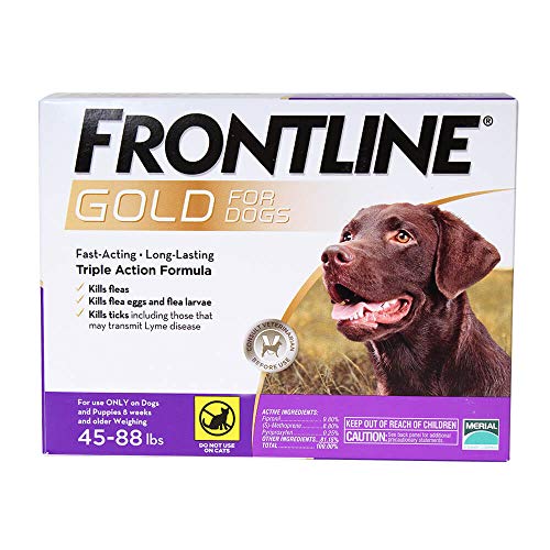 Frontline Gold for Dogs 4588 lbs Purple (6 Month)