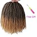 4 Packs Marley Hair Afro Kinky Curly Crochet Hair 18 Inch Long Marley Twist Braiding Hair Ombre Synthetic Marley Braids Hair Extensions for Women(1B-27#)