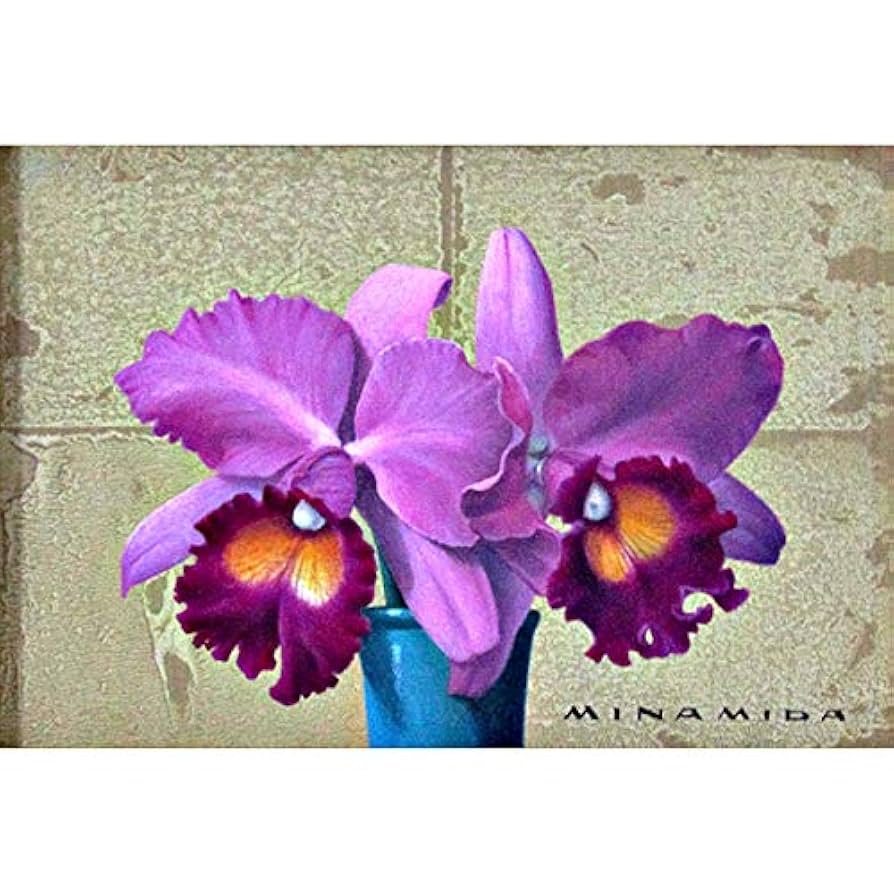 真筆油絵 カトレア 絵画のみ