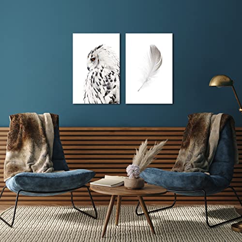 Sechars White Wall Art Canvas Grey Owl Pictures Feather Paintings Modern Bedromm Living Room Decor16X24 Inch #TOP1