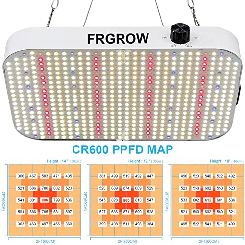 VIPARSPECTRA Reflector 300W LED Grow Light LED Pflanzenlampe Full Spectrum wachsen für Zimmerpflanzen Gemüse und Blumen 5 VIPARSPECTRA Reflector 300W LED Grow Light LED Pflanzenlampe Full Spectrum wachsen für Zimmerpflanzen Gemüse und Blumen – Bild 5