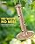iBorn Bird Feeders Seed Catcher for Outside Hanging 6 Port Bird Feeder for Cardinal Birds Aluminium Metal,Brushed Copper Finishing 14 Inch 6 Port (Seed is not Included)