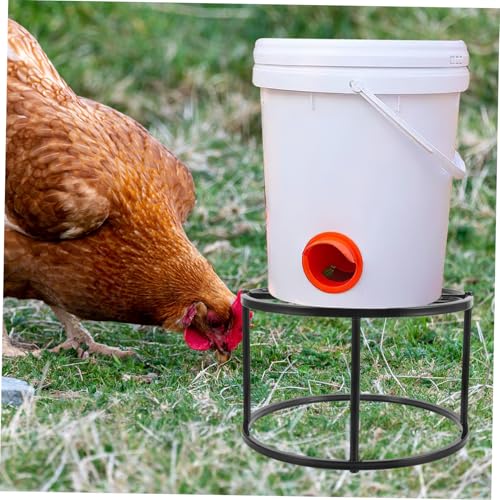 Support mangeoire poulailler stable évite le gaspillage eau poulet