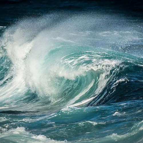 Resilencia en Medio de la Tempestad