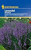 Kiepenkerl Lavendelsamen mehrjährig, Blumensamen für Duftkissen und Aromagärten, Wuchshöhe 40-50 cm, Beruhigend und Erfrischend