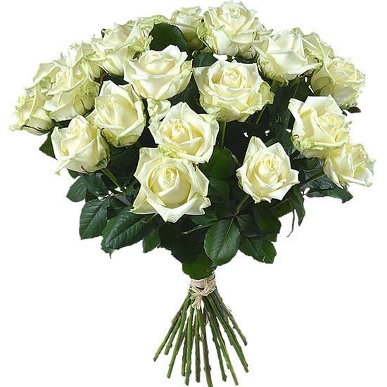 DECOALIVE | Ramo de Rosas Blancas Frescas l | Bouquet 25 Flores | Rosas Color Blanco Naturales y Frescas