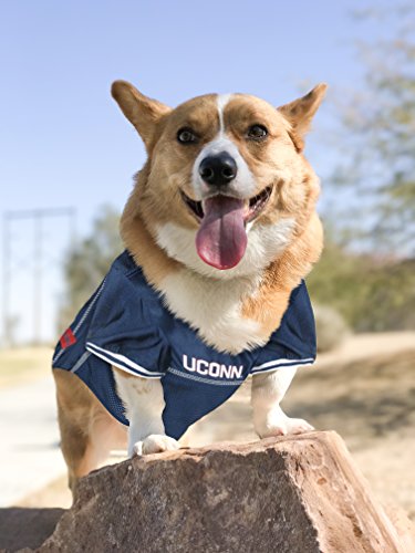 Image of Pets First Collegiate Connecticut Huskies Dog Mesh Jersey, Small
