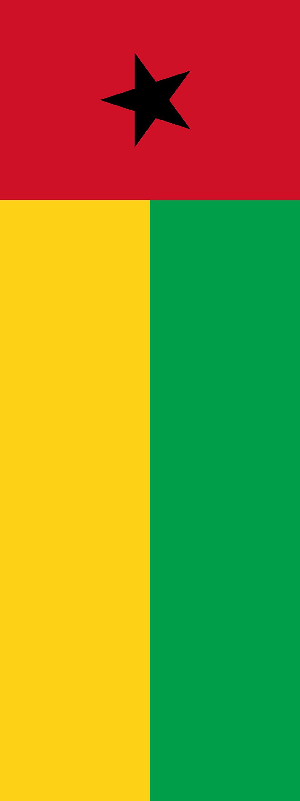 Drapeau Guinée-Bissau portrait de 6m² pour célébrer la fête nationale