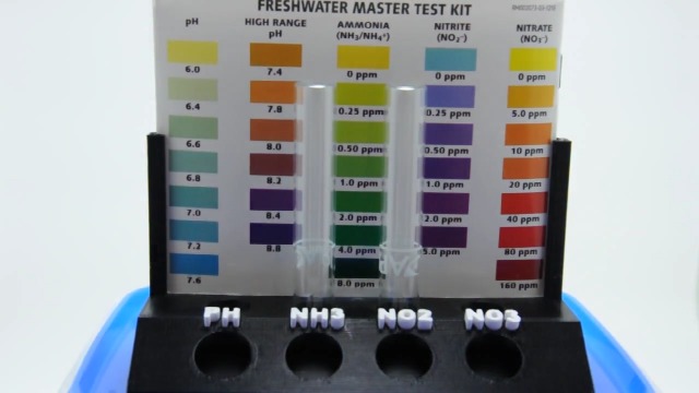 Amazon.com: Aquameta Aquarium Test Tube Holder with Rack - For API