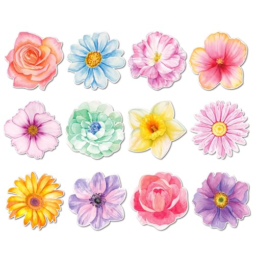 J[ʃt[m[gA240y[Wʃt[ȔSpbh t[t ZtXeBbNm[g pbh ƒAwZAItBXp -12fUC