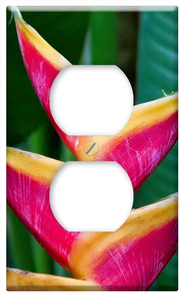 Switch Plate Outlet Cover - Heliconia Caribaeae Bihai Junction Flowers Red