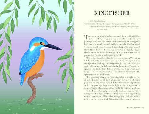 Image of The Folklore of Birds: The forgotten tales behind nature's most enigmatic creatures