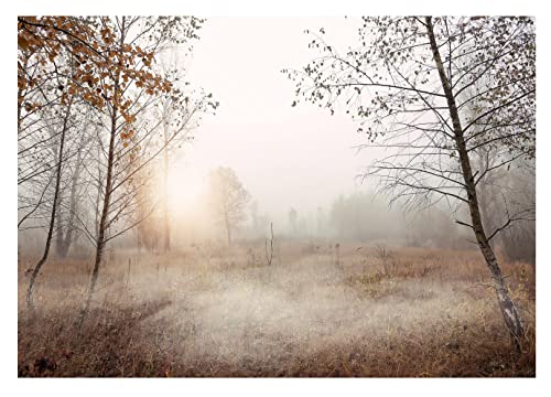 Fototapete Bäume 3D Effekt Nebel Wald Landschaft Natur Wiese...