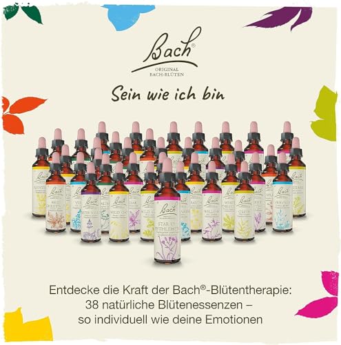 Original Bachblüten Tropfen Nr. 13 Gorse: Neue Kraft und positive Gedanken mit der Bach-Blüte Stechginster, 20ml