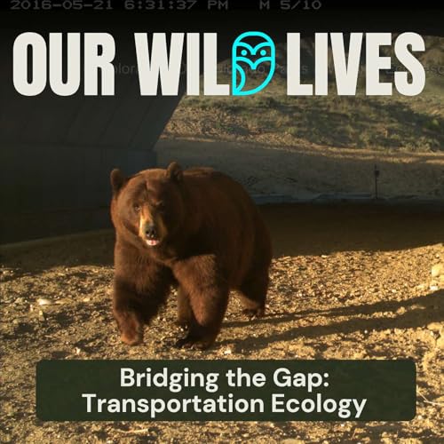 Bridging the Gap: Transportation Ecology