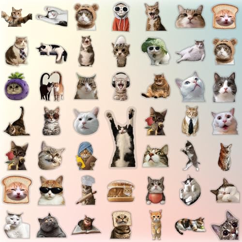 HopPixelle 100Pcs Cat Stickers | Cute Funny Meme Bulk | Waterproof PVC Vinyl Stickers for Water Bottles, Laptop, Skateboard, Phone, Notebook, Luggage, Scrapbook | Cat Lover Gifts for Kids Teens Adults - Image 5