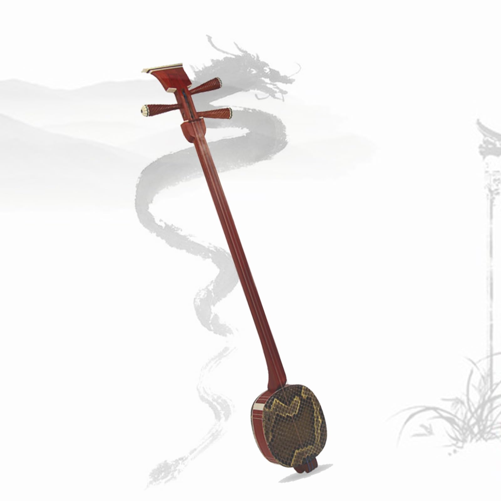 Amazon.com: EnweMahi Traditional 3 Strings Chinese Sanxian, Wukong