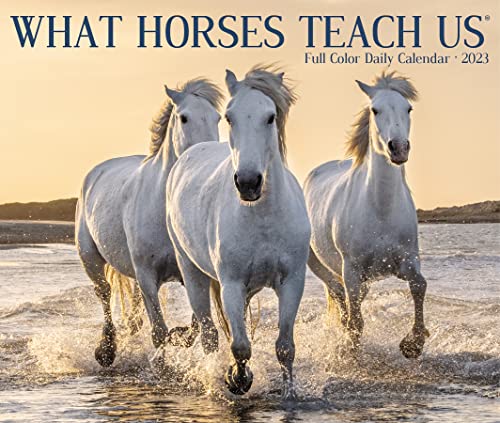 What Horses Teach Us 2023 Box Calendar #TOP4