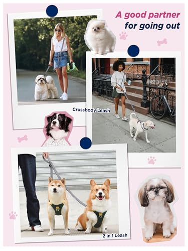 Laisse mains libres pour chien de petite taille ceinture ajustable 3,1 m gris - 6