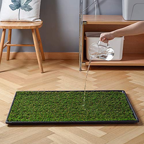 Hq4Us 4Legs A-H-LLB Hq4Us Dog Grass Pad With Tray Large 34 Inch×23 Inch Dog Litter Box Toilet thumb #6