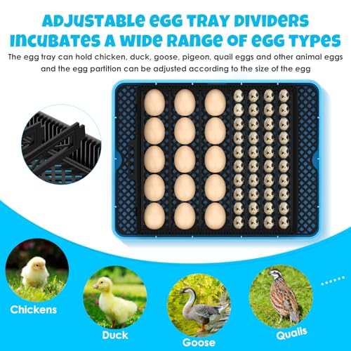 25 Egg Incubator Digital Poultry Hatcher Machine with Automatic Egg Turning, incubators for Hatching Eggs, Temperature & Humidity Control, LED Screen, General Purpose Incubator - Image 4