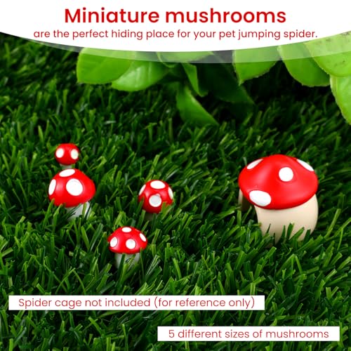 Jxiwfvl 5PCS Jumping Spider Accessories with Mushroom Styling Platforms Enclosure, Spider Habitat Decor with Mushroom Hide, Resin Spiders Accessories and Jumping Spiders Enclosure Deco