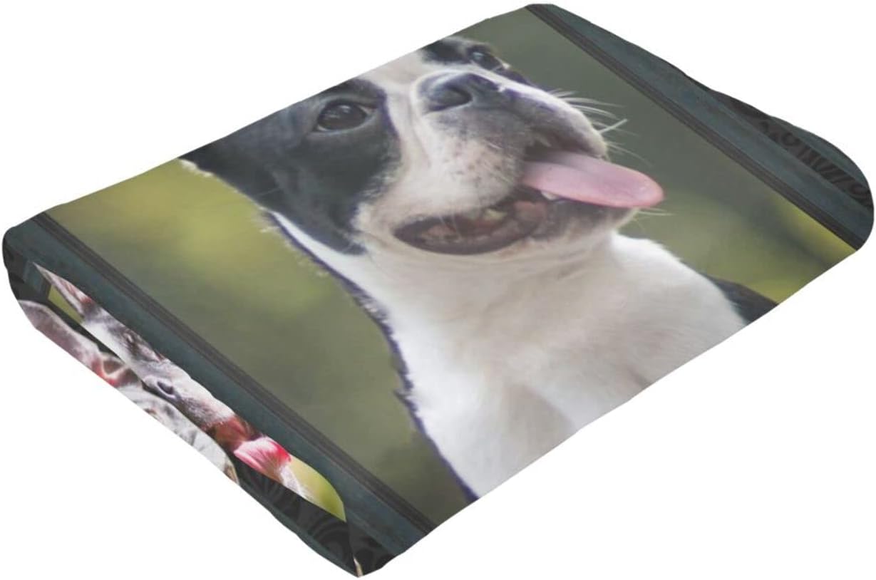 Cute Boston Terrier Dog Black Lovely Dog Printed Ultra-Soft Throw Blanket Home Decorative Blanket for Living Room Bed Sofa - Image 8