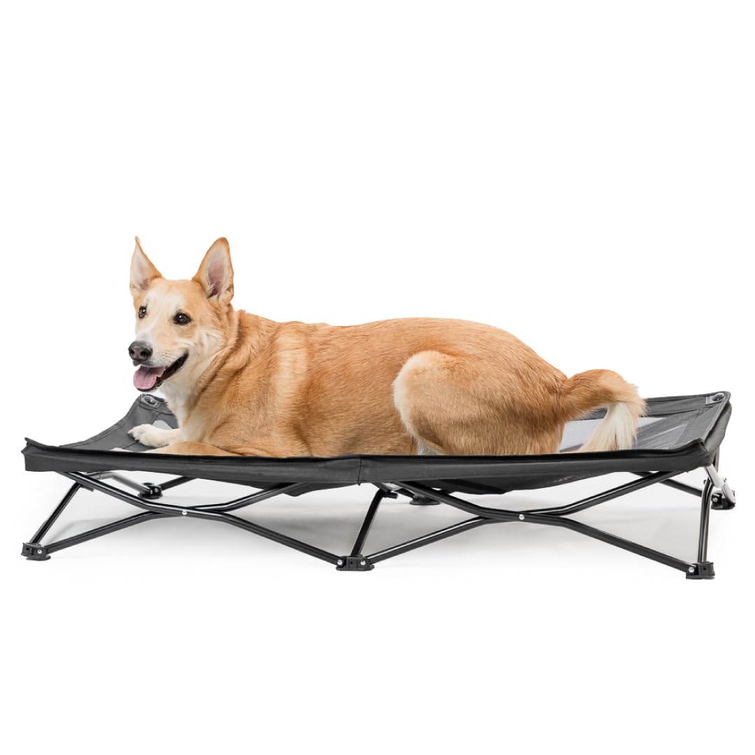Raised Puppy Bed - Elevated Pet Bed - Outdoor Pet Bed - Raised Cot for Dogs - Versatile